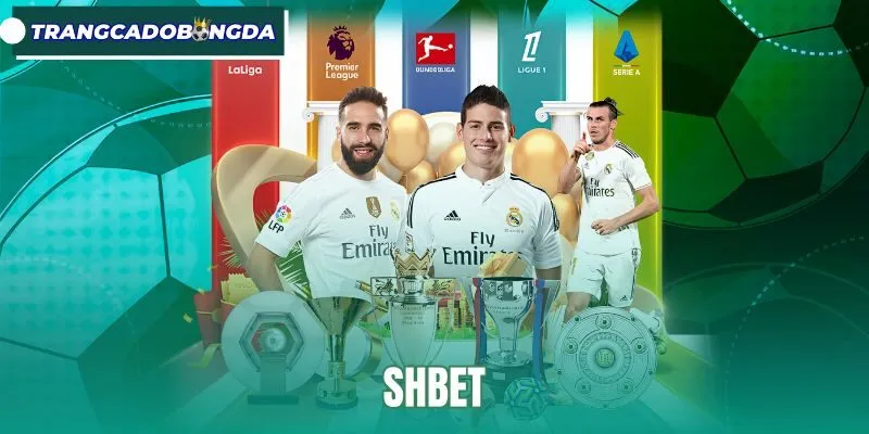 SHBET - Trang Cá Độ Bóng Đá Hấp Dẫn, Kèo Mỗi Ngày